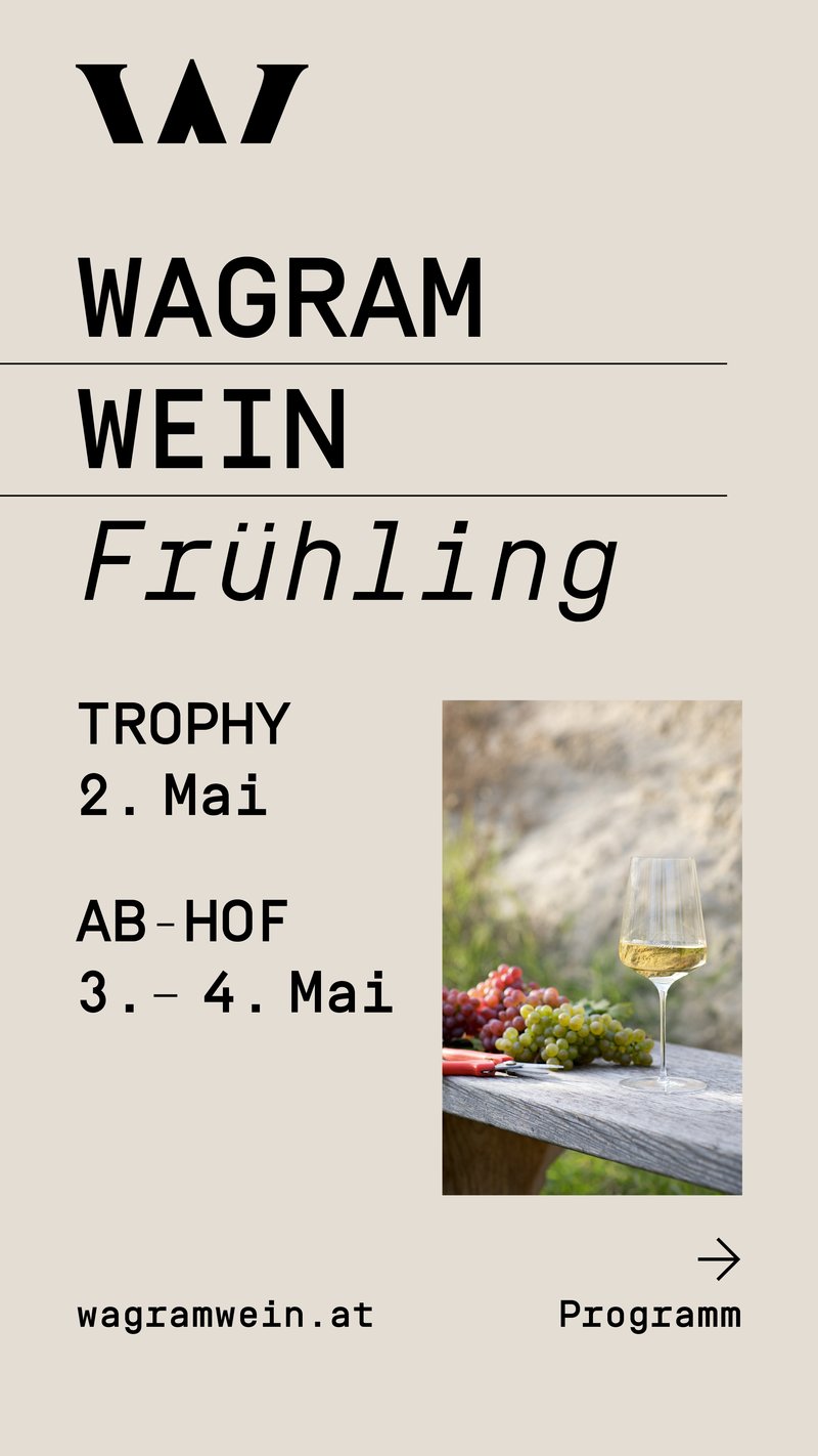 Wagram - Wein - Frühling